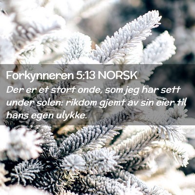 Picture 02 - Forkynneren 5:13 NORSK - Der er et stort onde, som jeg har sett under - Bible Verse Picture