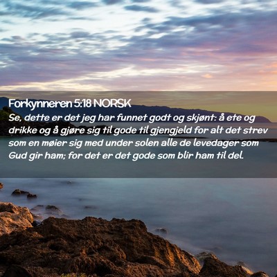 Picture 02 - Forkynneren 5:18 NORSK - Se, dette er det jeg har funnet godt og skjønt: - Bible Verse Picture