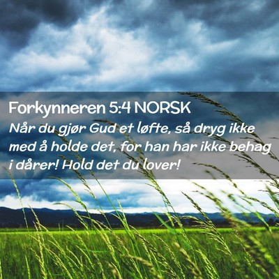 Picture 02 - Forkynneren 5:4 NORSK - Når du gjør Gud et løfte, så dryg ikke med å - Bible Verse Picture