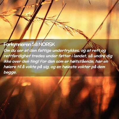 Picture 02 - Forkynneren 5:8 NORSK - Om du ser at den fattige undertrykkes, og at rett - Bible Verse Picture