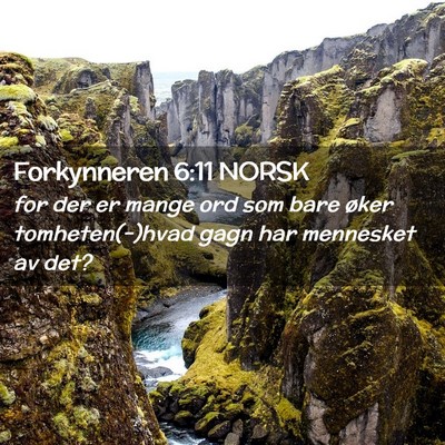 Picture 02 - Forkynneren 6:11 NORSK - for der er mange ord som bare øker - Bible Verse Picture