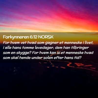 Picture 02 - Forkynneren 6:12 NORSK - For hvem vet hvad som gagner et menneske i livet, - Bible Verse Picture