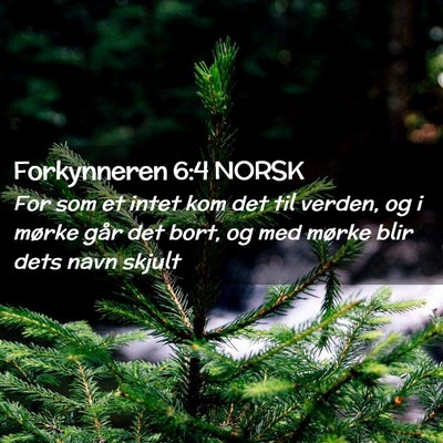 Picture 02 - Forkynneren 6:4 NORSK - For som et intet kom det til verden, og i mørke - Bible Verse Picture