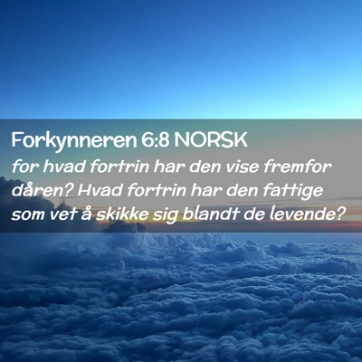 Picture 02 - Forkynneren 6:8 NORSK - for hvad fortrin har den vise fremfor dåren? - Bible Verse Picture