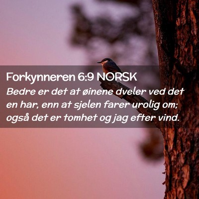 Picture 02 - Forkynneren 6:9 NORSK - Bedre er det at øinene dveler ved det en har, - Bible Verse Picture