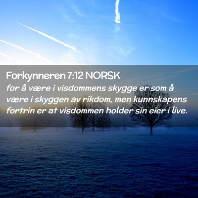Picture 02 - Forkynneren 7:12 NORSK - for å være i visdommens skygge er som å være - Bible Verse Picture