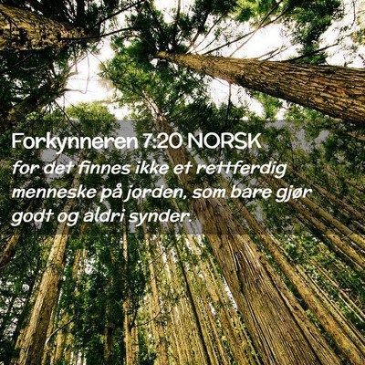 Picture 02 - Forkynneren 7:20 NORSK - for det finnes ikke et rettferdig menneske på - Bible Verse Picture