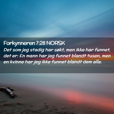 Picture 02 - Forkynneren 7:28 NORSK - Det som jeg stadig har søkt, men ikke har - Bible Verse Picture