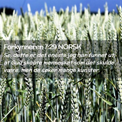 Picture 02 - Forkynneren 7:29 NORSK - Se, dette er det eneste jeg har funnet ut, at Gud - Bible Verse Picture