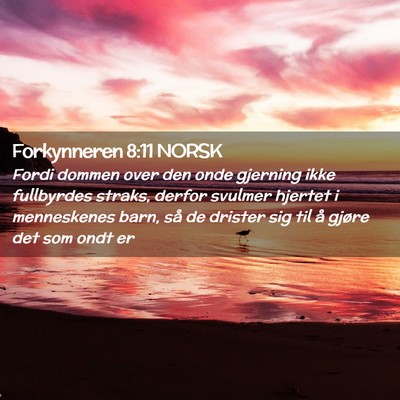 Picture 02 - Forkynneren 8:11 NORSK - Fordi dommen over den onde gjerning ikke - Bible Verse Picture