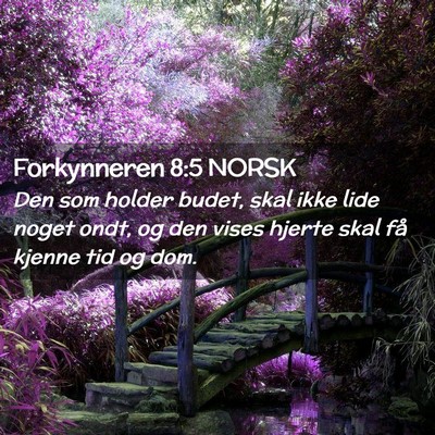 Picture 02 - Forkynneren 8:5 NORSK - Den som holder budet, skal ikke lide noget ondt, - Bible Verse Picture