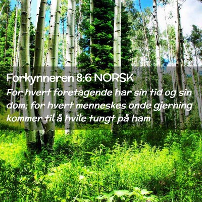 Picture 02 - Forkynneren 8:6 NORSK - For hvert foretagende har sin tid og sin dom; for - Bible Verse Picture