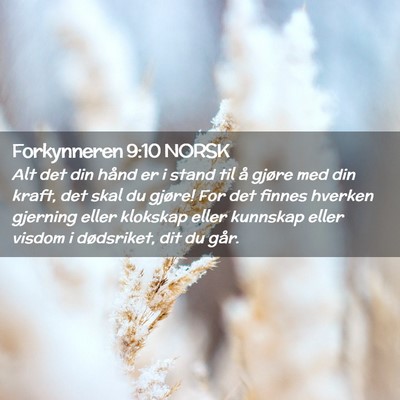 Picture 02 - Forkynneren 9:10 NORSK - Alt det din hånd er i stand til å gjøre med - Bible Verse Picture
