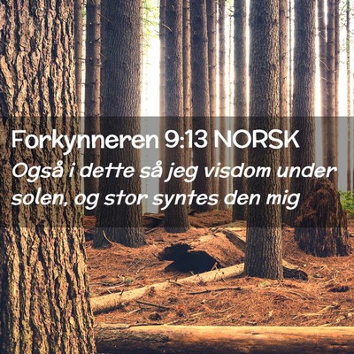 Picture 02 - Forkynneren 9:13 NORSK - Også i dette så jeg visdom under solen, og stor - Bible Verse Picture