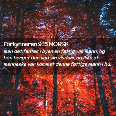 Picture 02 - Forkynneren 9:15 NORSK - men det fantes i byen en fattig, vis mann, og han - Bible Verse Picture