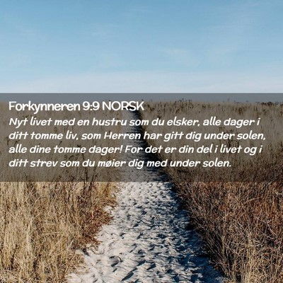 Picture 02 - Forkynneren 9:9 NORSK - Nyt livet med en hustru som du elsker, alle dager - Bible Verse Picture