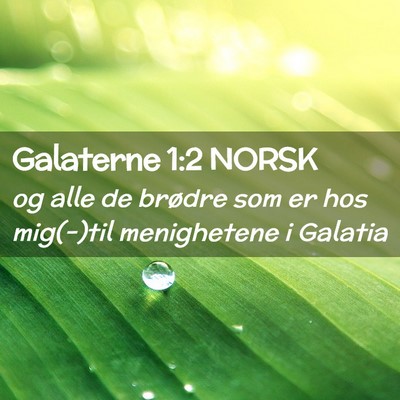 Picture 02 - Galaterne 1:2 NORSK - og alle de brødre som er hos mig(-)til - Bible Verse Picture
