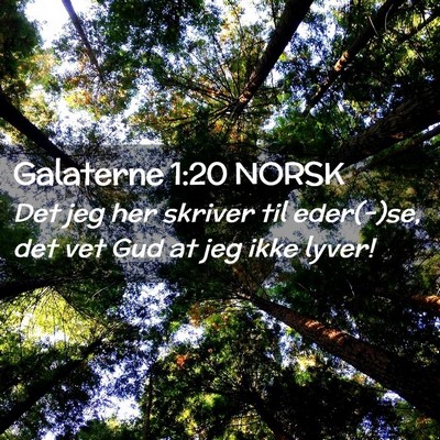 Picture 02 - Galaterne 1:20 NORSK - Det jeg her skriver til eder(-)se, det vet Gud at - Bible Verse Picture