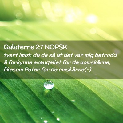 Picture 02 - Galaterne 2:7 NORSK - tvert imot: da de så at det var mig betrodd å - Bible Verse Picture