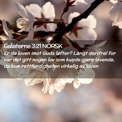 Picture 02 - Galaterne 3:21 NORSK - Er da loven imot Guds løfter? Langt derifra! for - Bible Verse Picture