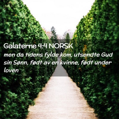 Picture 02 - Galaterne 4:4 NORSK - men da tidens fylde kom, utsendte Gud sin Sønn, - Bible Verse Picture