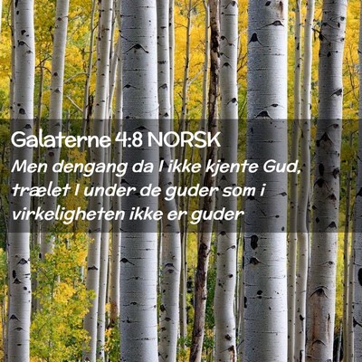 Picture 02 - Galaterne 4:8 NORSK - Men dengang da I ikke kjente Gud, trælet I under - Bible Verse Picture
