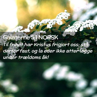 Picture 02 - Galaterne 5:1 NORSK - Til frihet har Kristus frigjort oss; stå derfor - Bible Verse Picture