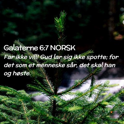 Picture 02 - Galaterne 6:7 NORSK - Far ikke vill! Gud lar sig ikke spotte; for det - Bible Verse Picture
