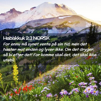 Picture 02 - Habakkuk 2:3 NORSK - For ennu må synet vente på sin tid; men det - Bible Verse Picture