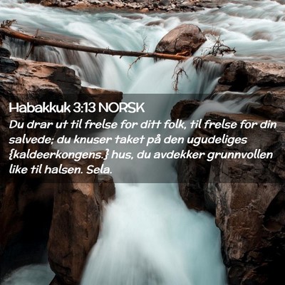 Picture 02 - Habakkuk 3:13 NORSK - Du drar ut til frelse for ditt folk, til frelse - Bible Verse Picture