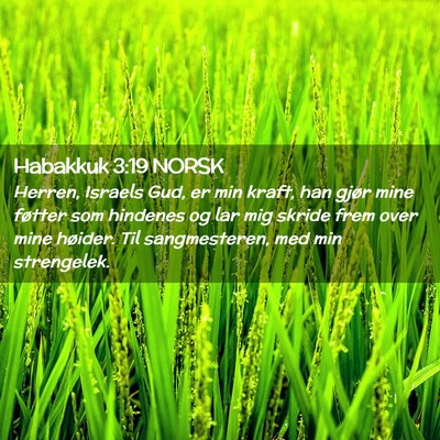 Picture 02 - Habakkuk 3:19 NORSK - Herren, Israels Gud, er min kraft, han gjør mine - Bible Verse Picture