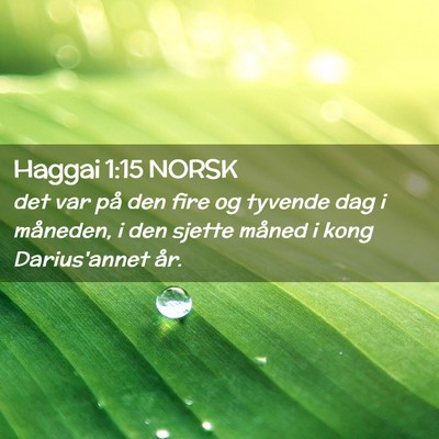 Picture 02 - Haggai 1:15 NORSK - det var på den fire og tyvende dag i måneden, i - Bible Verse Picture