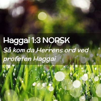 Picture 02 - Haggai 1:3 NORSK - Så kom da Herrens ord ved profeten - Bible Verse Picture