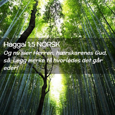 Picture 02 - Haggai 1:5 NORSK - Og nu sier Herren, hærskarenes Gud, så: Legg - Bible Verse Picture