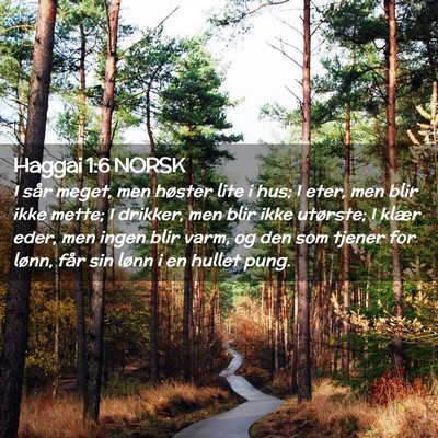 Picture 02 - Haggai 1:6 NORSK - I sår meget, men høster lite i hus; I eter, men - Bible Verse Picture