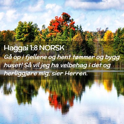 Picture 02 - Haggai 1:8 NORSK - Gå op i fjellene og hent tømmer og bygg huset! - Bible Verse Picture