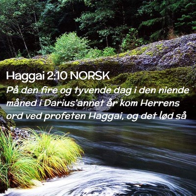Picture 02 - Haggai 2:10 NORSK - På den fire og tyvende dag i den niende måned i - Bible Verse Picture