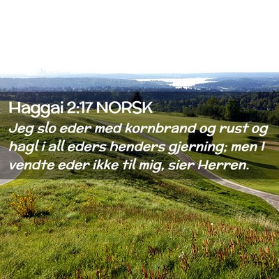 Picture 02 - Haggai 2:17 NORSK - Jeg slo eder med kornbrand og rust og hagl i all - Bible Verse Picture