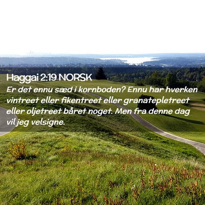 Picture 02 - Haggai 2:19 NORSK - Er det ennu sæd i kornboden? Ennu har hverken - Bible Verse Picture