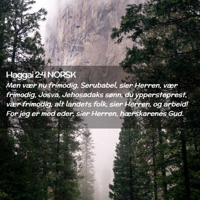 Picture 02 - Haggai 2:4 NORSK - Men vær nu frimodig, Serubabel, sier Herren, - Bible Verse Picture