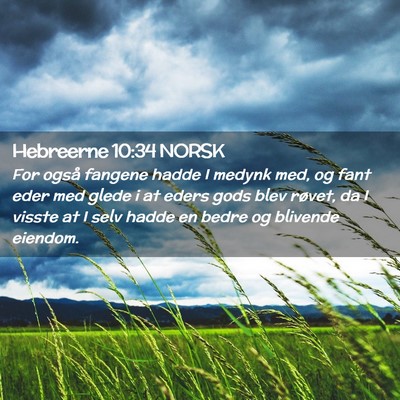 Picture 02 - Hebreerne 10:34 NORSK - For også fangene hadde I medynk med, og fant - Bible Verse Picture