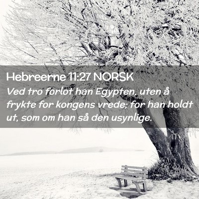 Picture 02 - Hebreerne 11:27 NORSK - Ved tro forlot han Egypten, uten å frykte for - Bible Verse Picture