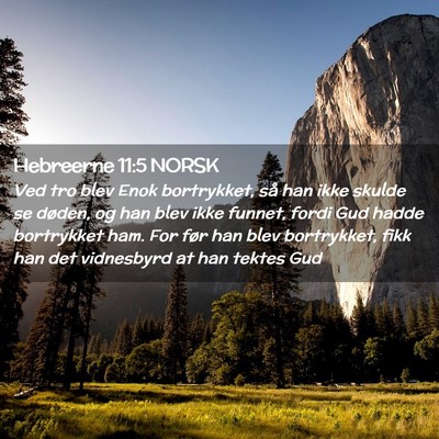Picture 02 - Hebreerne 11:5 NORSK - Ved tro blev Enok bortrykket, så han ikke skulde - Bible Verse Picture