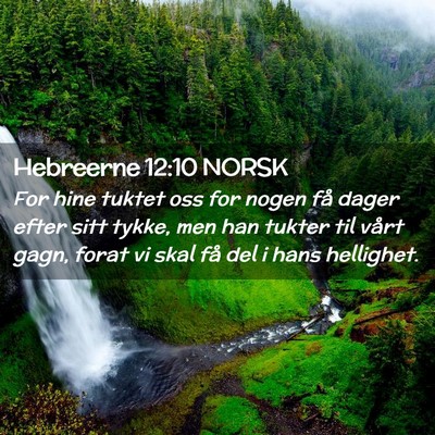 Picture 02 - Hebreerne 12:10 NORSK - For hine tuktet oss for nogen få dager efter - Bible Verse Picture