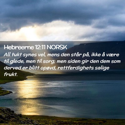 Picture 02 - Hebreerne 12:11 NORSK - All tukt synes vel, mens den står på, ikke å - Bible Verse Picture