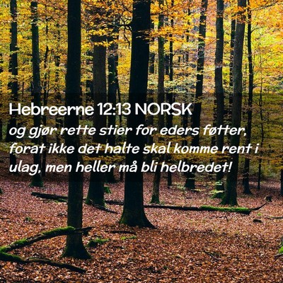 Picture 02 - Hebreerne 12:13 NORSK - og gjør rette stier for eders føtter, forat - Bible Verse Picture