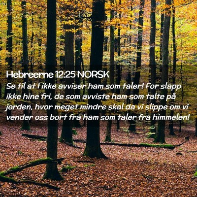 Picture 02 - Hebreerne 12:25 NORSK - Se til at I ikke avviser ham som taler! For slapp - Bible Verse Picture