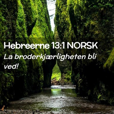 Picture 02 - Hebreerne 13:1 NORSK - La broderkjærligheten bli - Bible Verse Picture