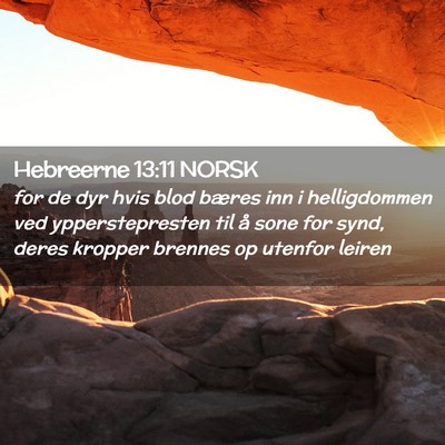 Picture 02 - Hebreerne 13:11 NORSK - for de dyr hvis blod bæres inn i helligdommen - Bible Verse Picture