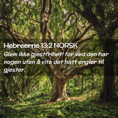 Picture 02 - Hebreerne 13:2 NORSK - Glem ikke gjestfrihet! for ved den har nogen uten - Bible Verse Picture